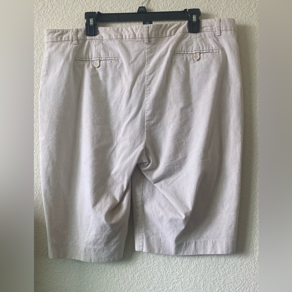 New York & company shorts - Picture 2 of 3